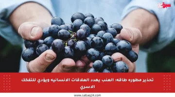 تحذير مطورة طاقة: العنب يهدد العلاقات الإنسانية ويؤدي للتفكك الأسري